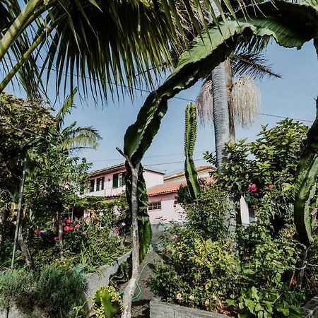 City View Gardens I Funchal  Exterior photo