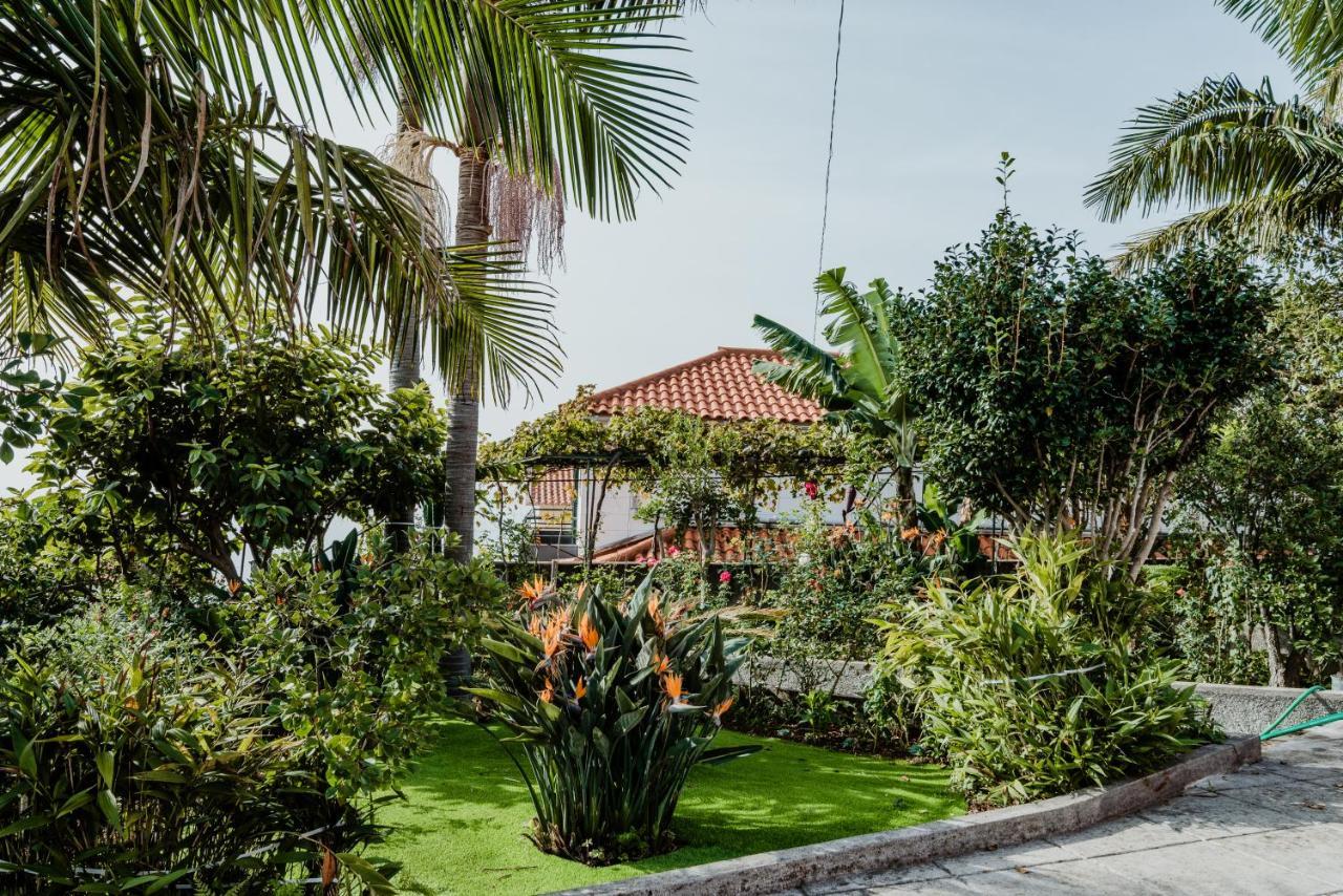 City View Gardens I Funchal  Exterior photo