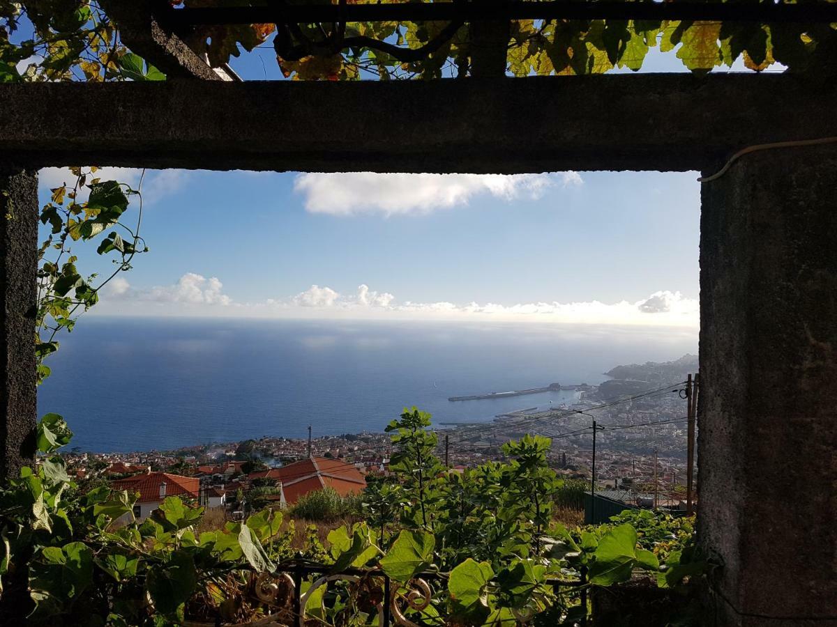 City View Gardens I Funchal  Exterior photo